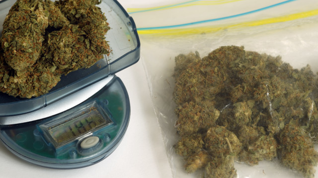 קנאביס, מריחואנה (אילוסטרציה) (צילום: אינגאימג')