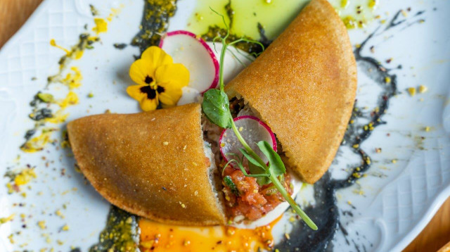 קטעייף ים של לולה מרטין (צילום: דוד מויאל)