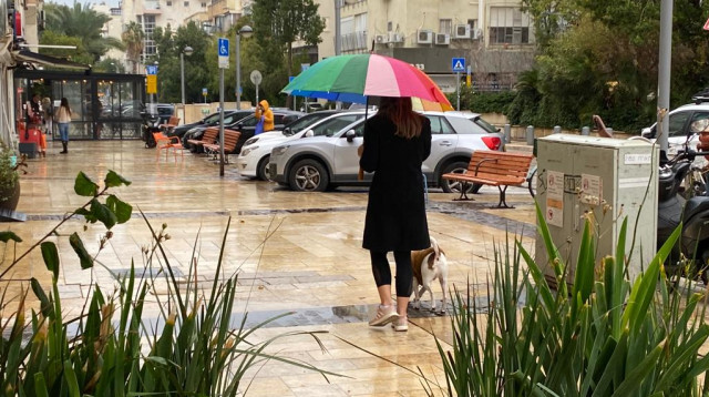 גשם בתל אביב (צילום: אבשלום ששוני)