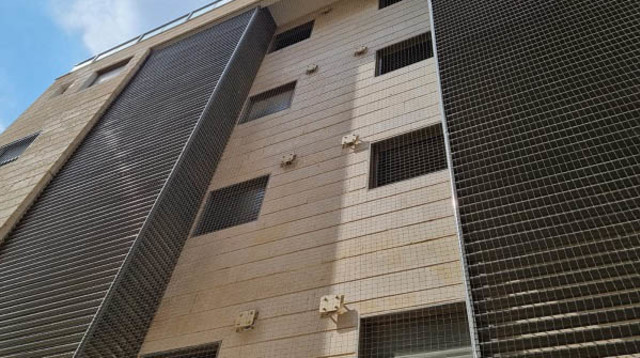 כל מה שצריך לדעת על הרחקת יונים (צילום: סטופ יונים)