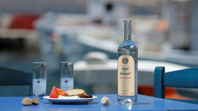 פאלומרי אוזו (צילום: יחצ)