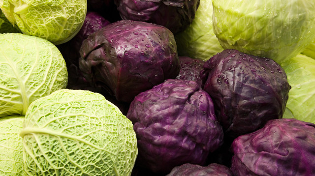 כרוב (אילוסטרציה) (צילום: אינגאימג')