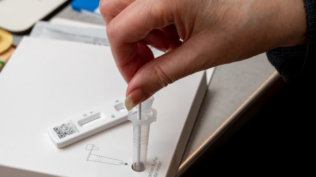 בדיקת אנטיגן (צילום: אינגאימג')