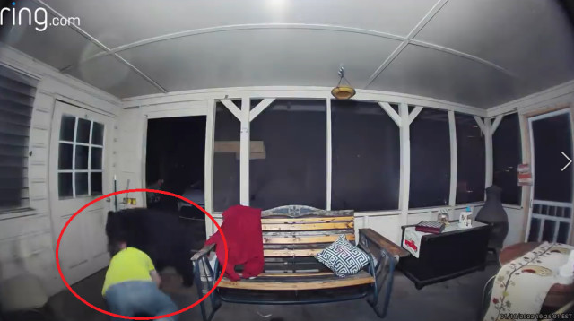 צפו ותגלו מי ניצח בקרב (צילום: צילום מסך מתוך רויטרס)