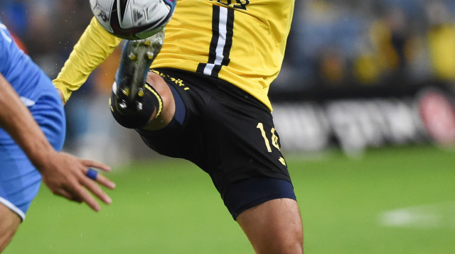 חוזר לטירה. שלום אדרי (צילום: ברני ארדוב)