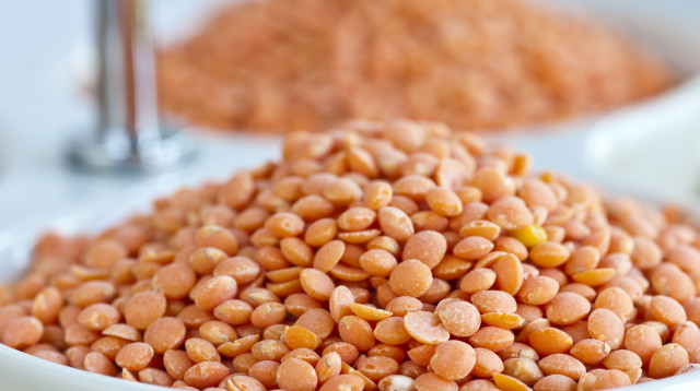 עדשים (אילוסטרציה) (צילום: אינגאימג')