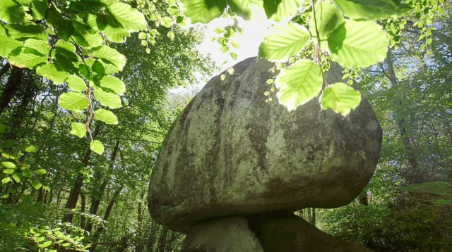 הסלע שבתמונה שוקל 137 טונות (צילום: Getty images)