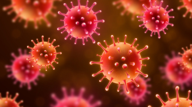 נגיף הקורונה. ימשיך ליצור מוטציות (צילום: אינגאימג')