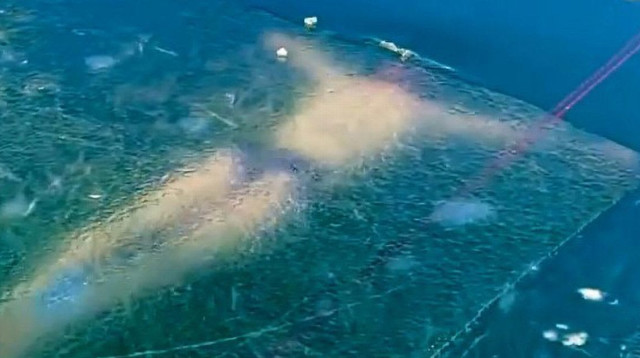 צוללן נתקע מתחת לקרח (צילום: צילום מסך, TIKTOK)