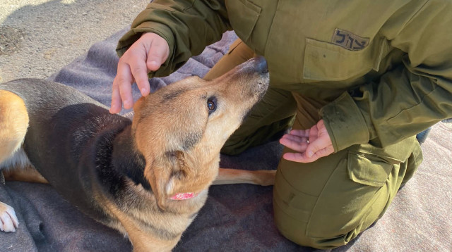 מבצע "חורף חם" (צילום: דובר צה"ל)