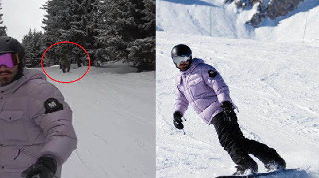 דוב רודף אחר גולש סנובורד (צילום: צילום מסך אינסטגרם)