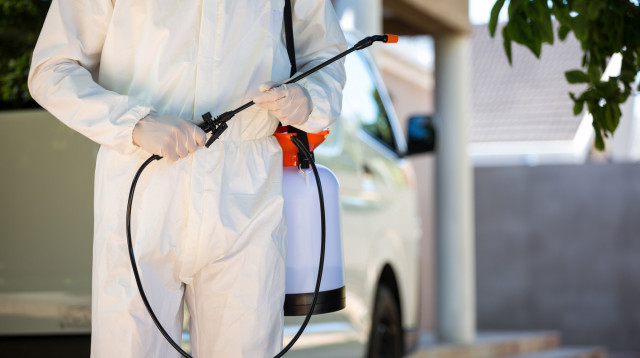 כל מה שצריך לדעת על שירותי הדברה מקצועיים (צילום: FREEPIK)