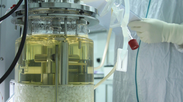 Bioreactor (צילום: יחצ פלוריסטם)