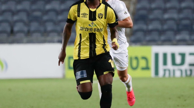 יצליח לעבוד עם רפואה? פלומן (צילום: דני מרון)