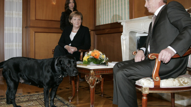 ולדימיר פוטין ואנגלה מרקל (צילום: רויטרס)