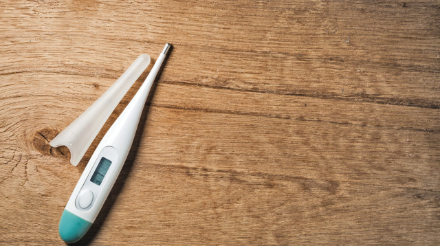 מדחום (צילום: אינגאימג')