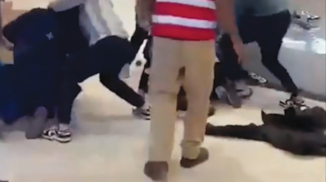 מכות בקניון ברמת אביב (צילום: צילום מסך)