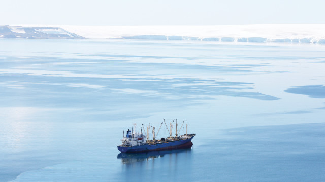 אנטרקטיקה  (צילום: רויטרס)