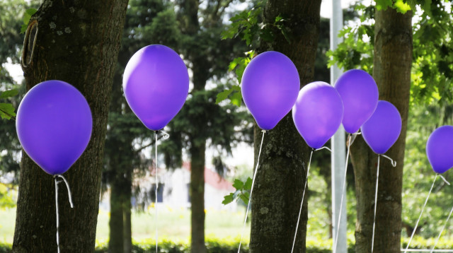 היום הסגול להעלאת המודעות למחלת האפילפסיה (צילום: Pixabay)