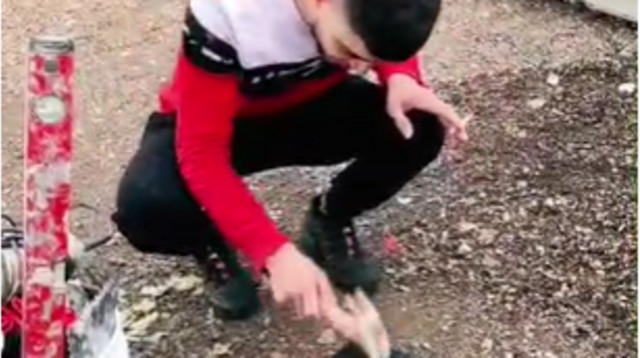 צעיר פלסטיני עוקר מזוזה ומנסה להציתה (צילום: מתוך טיקטוק)