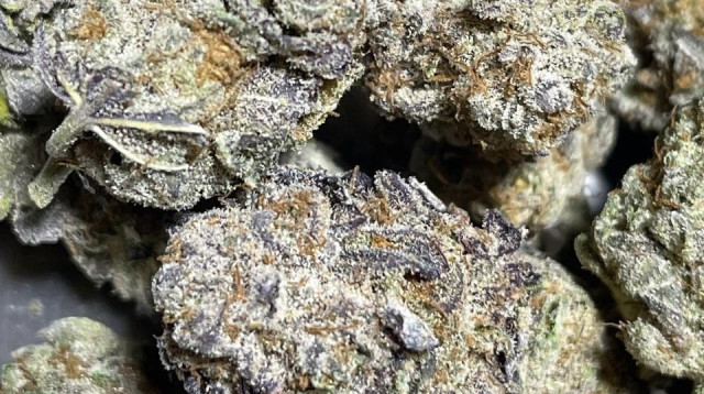 סמים שנתפסו על ידי המשטרה (צילום: דוברות המשטרה)