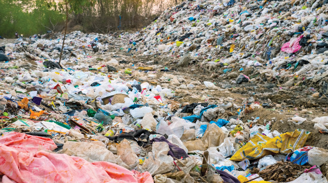 מזבלה, אילוסטרציה (צילום: אינגאימג')