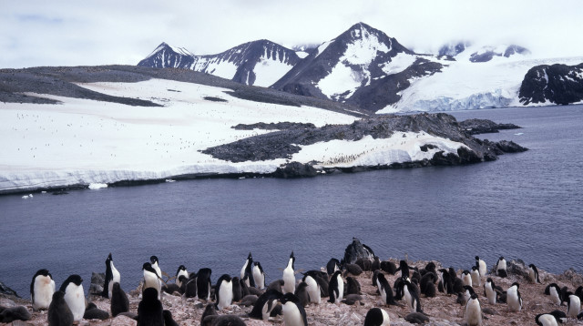 אנטרקטיקה (צילום: אינג'אימג')