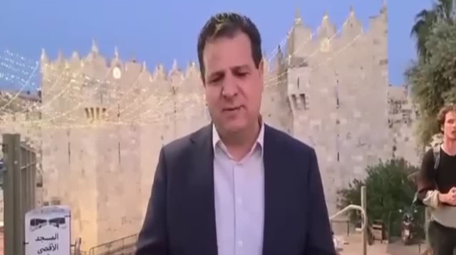 עודה (צילום: צילום מסך)