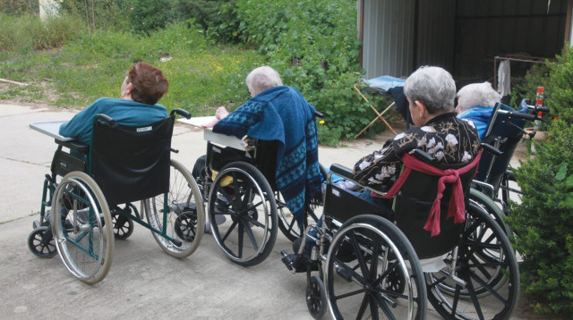 נכים על כיסא גלגלים, אילוסטרציה (למצולמים אין קשר לנאמר בכתבה) (צילום: יוסי אלוני)