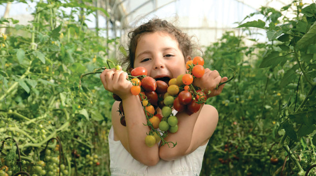 שביל הסלט (צילום: מיטל סטרז)