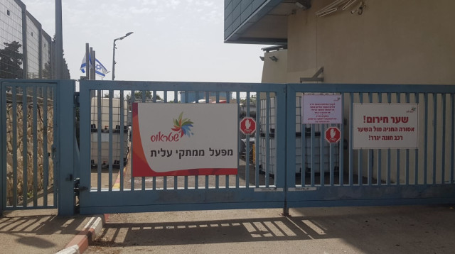 מפעל ממתקי עלית-שטראוס בנוף הגליל (צילום: מעריב אונליין)