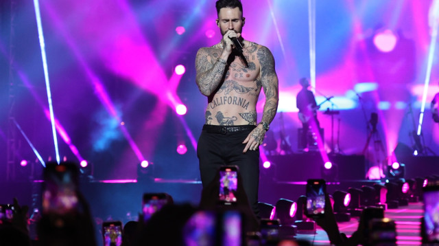 אדם לוין, מארון 5 (צילום: אור גפן)