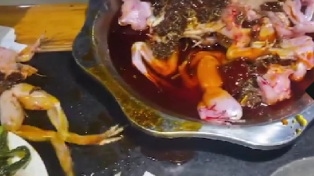 האוכל "ברח" מהצלחת (צילום: צילום מסך טיקטוק)