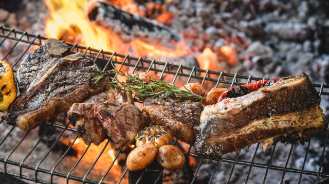 מיקס בשרים על האש (צילום: גלעד הר שלג)