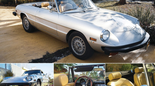 רכב האספנות דיוגרל למען עמותות המסייעות לבעלי חיים (צילום: גל זיו)