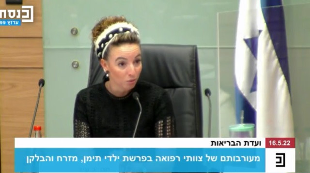 יו"ר ועדת הבריאות ח"כ עידית סילמן (צילום: צילום מסך ערוץ כנסת)