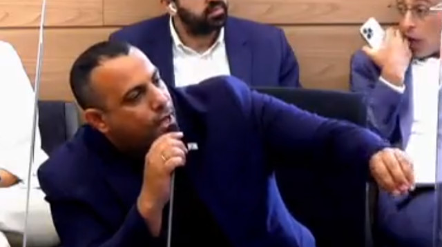 ח"כ אביר קארה בוועדת הכנסת (צילום: צילום מסך מערוץ הכנסת)