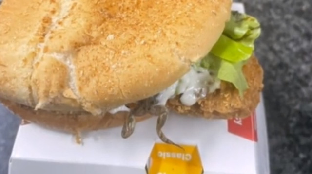 תגלית מזעזעת בתוך מקצ'יקן של מקדונלד'ס (צילום: צילום מסך טיקטוק)