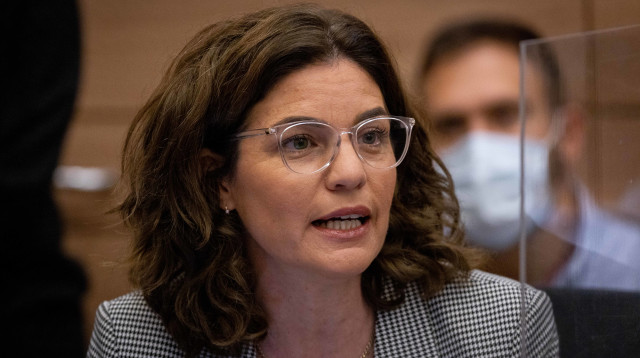 תמר זנדברג (צילום: יונתן זינדל, פלאש 90)