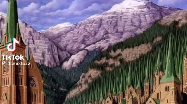 אשליה אופטית מרהיבה מספרת עליכם לא מעט (צילום: צילום מסך טיקטוק)