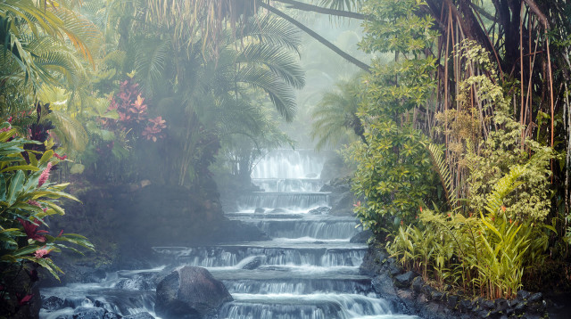 אנחנו יודעים שזה נראה ציור, אבל זה לא (צילום: booking.com)