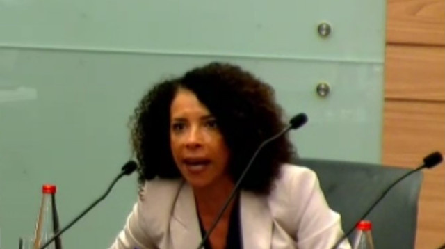 ח"כ איבתיסאם מראענה בוועדת הכנסת (צילום: צילום מסך מערוץ הכנסת)