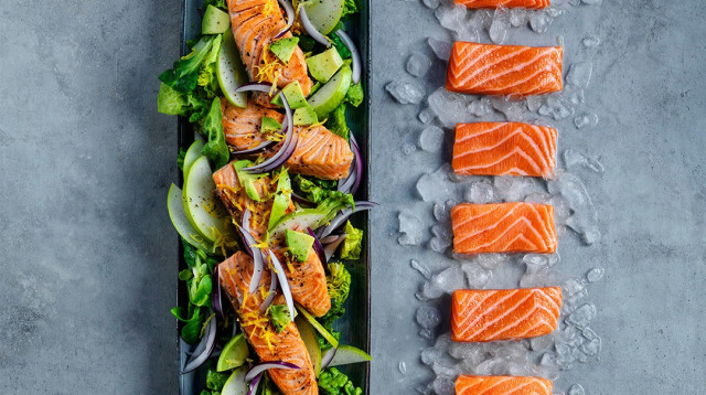 סלמון נורווגי (צילום: יח"צ)