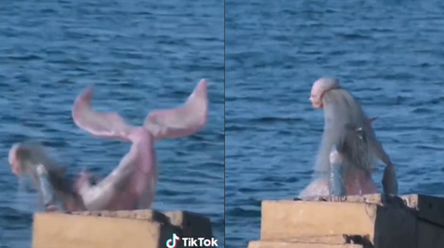 תיעוד מטורף של בתולת ים בסומליה (צילום: צילום מסך טיקטוק)