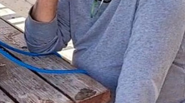 מייק פלג (צילום: צילום מסך מתוך פייסבוק)