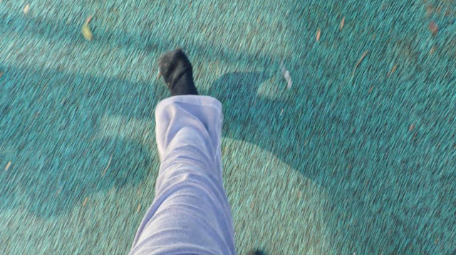 דוגמאות צילומים מהתערוכה (צילום: דוברות אברבנל)