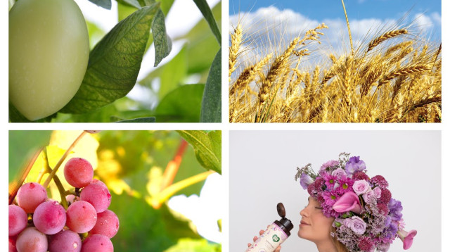 שבעת המינים בטיפוח הגוף והפנים (צילום: עדי גלעד,אינג אימג')