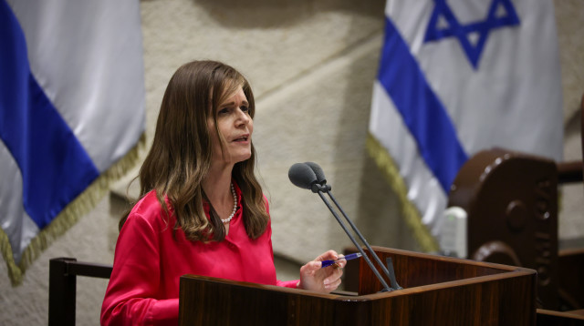 מיכל וולדיגר (צילום: נועם מושקוביץ, דוברות הכנסת)
