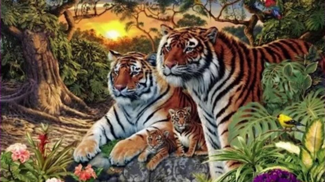 יכולים למצוא את כל 16 הטיגריסים שבתמונה? (צילום: צילום מסך טיקטוק)