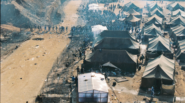 אנצאר (צילום: יאיר פלג)